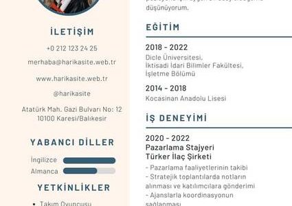 Özgeçmişte istenen pozisyon