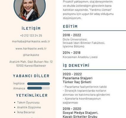 Özgeçmişte istenen pozisyon