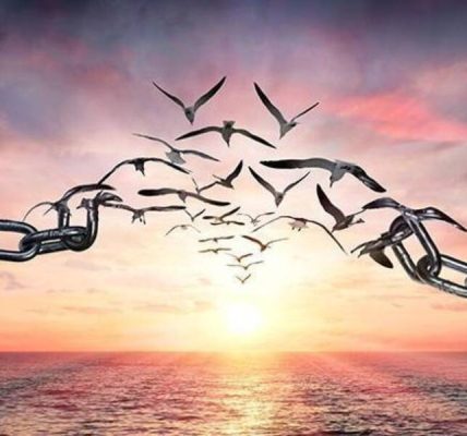 Her şey kısıtlamayla ilgili