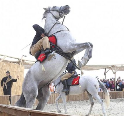 At dörtnala çeşitleri ve binicilik kuralları