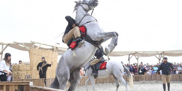At dörtnala çeşitleri ve binicilik kuralları