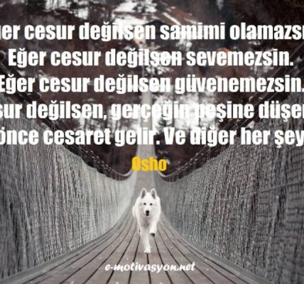 Cesaret hakkında her şey