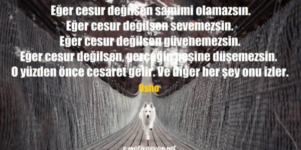 Cesaret hakkında her şey