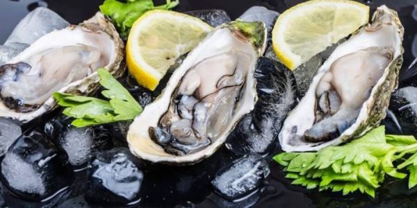 İstiridyeler nasıl doğru şekilde saklanır?