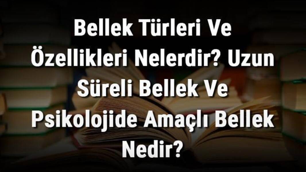 Bellek türleri ve özellikleri
