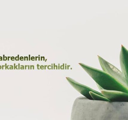 Her şey sabırsızlıkla ilgili