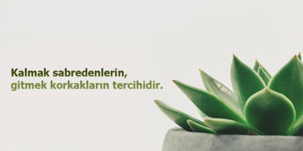 Her şey sabırsızlıkla ilgili