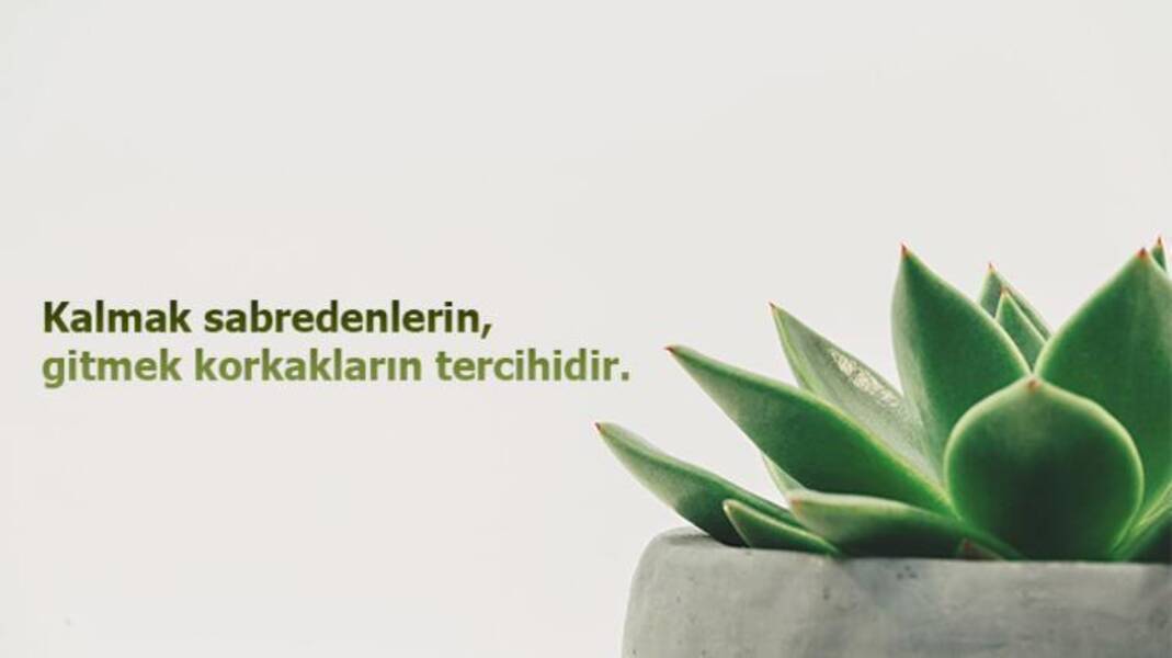 Her şey sabırsızlıkla ilgili