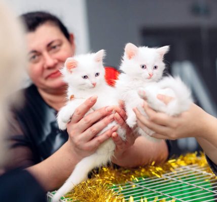 Alyona ve Elena farklı veya aynı isimlerdir?