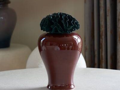 Zenginlik vazosu: nedir ve nasıl yapılır?