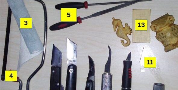 Ahşap oymacılığı için bıçaklar: türleri ve seçim kuralları