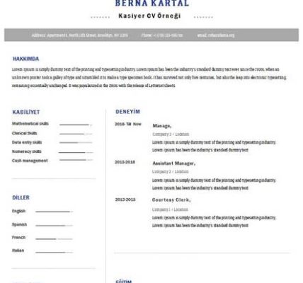 Şirket CV'si nasıl yazılır?