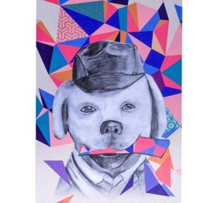 Hayvan eskiz defteri eskiz defteri fikirleri