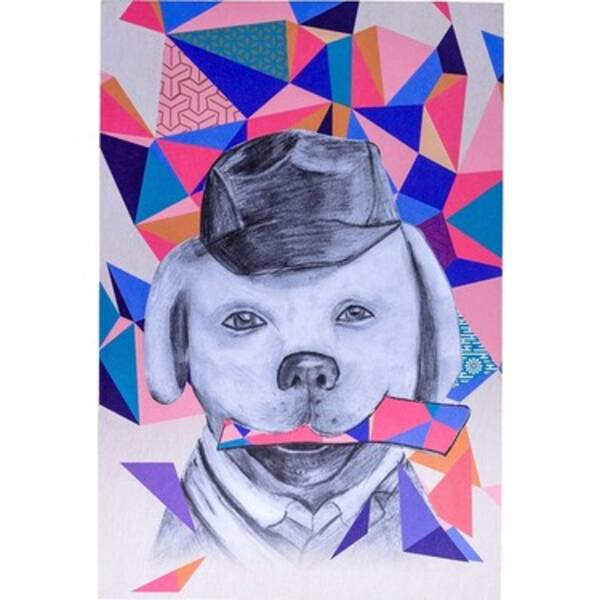 Hayvan eskiz defteri eskiz defteri fikirleri