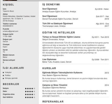 Bir sistem yöneticisi için CV nasıl yazılır?