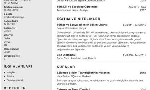 Bir sistem yöneticisi için CV nasıl yazılır?