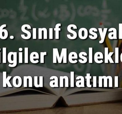 Sosyal bilgilerle ilgili bir meslek seçme