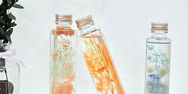 Herbaryum: türleri, bitki toplamanın özellikleri ve dekorasyon seçenekleri