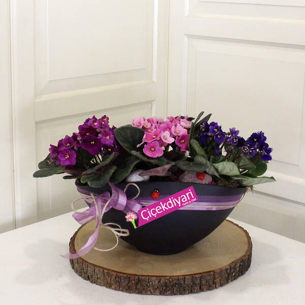 Çiçekler süngere nasıl konur ve bakımı nasıl yapılır??