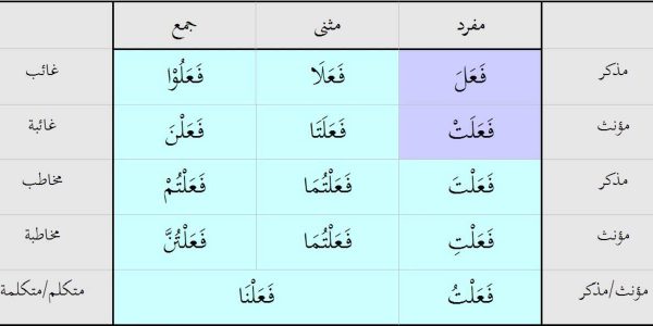 Herpetofobi hakkında her şey