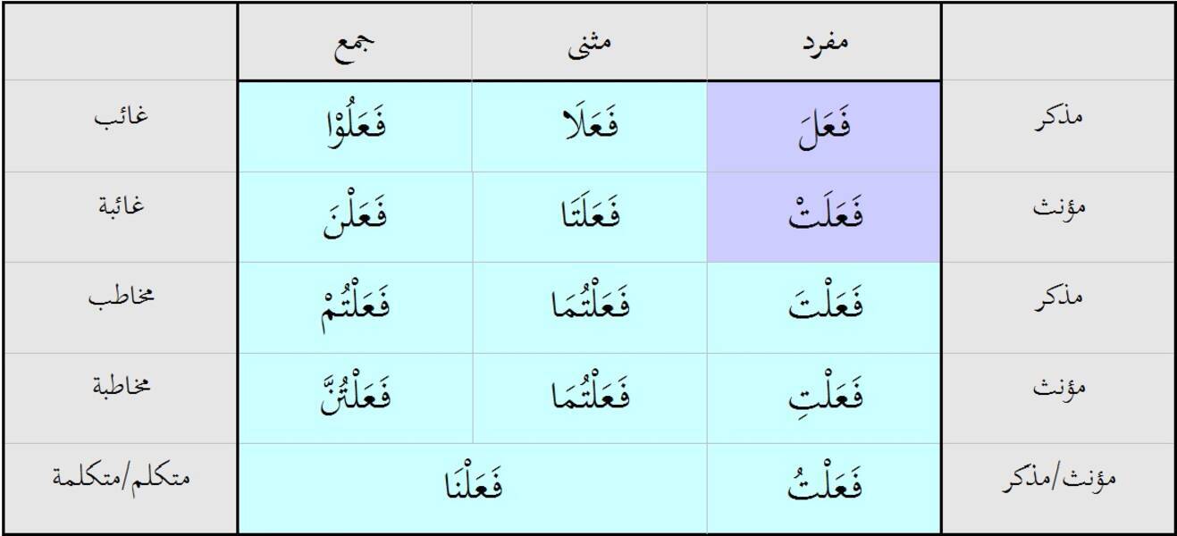 Herpetofobi hakkında her şey