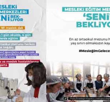 Dokuzuncu sınıftan sonra hangi mesleği seçmeli??