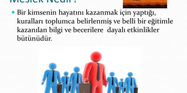Bilgi ile ilgili bir meslek seçmek