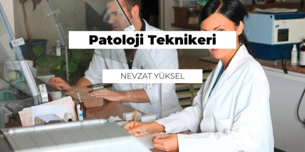 Bir laboratuvarda çalışmak hangi mesleklerle ilişkilidir??