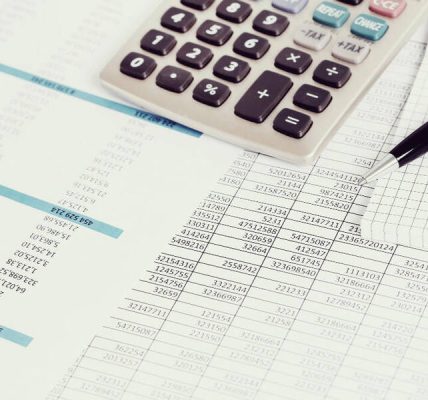 Muhasebeci-hesaplayıcı: iş tanımı, fonksiyonlar ve gereklilikler