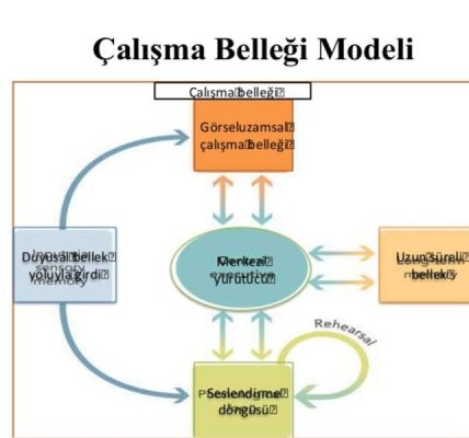 Psikolojide çalışma belleği: nedir ve nasıl geliştirilir?