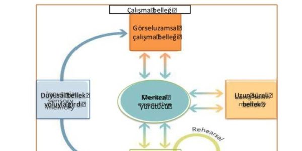 Psikolojide çalışma belleği: nedir ve nasıl geliştirilir?