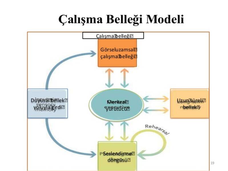 Psikolojide çalışma belleği: nedir ve nasıl geliştirilir?