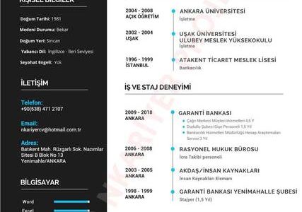 Yaratıcı CV: özellikler ve örnekler