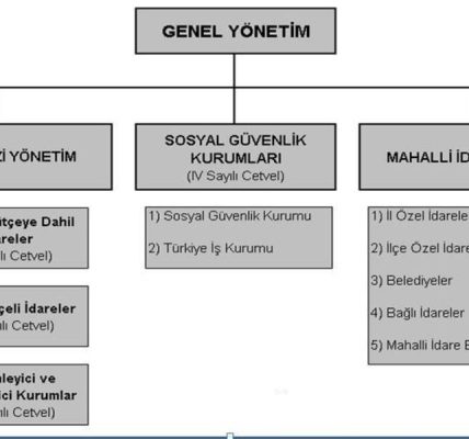 İhale Yöneticisi: nitelikler ve temel işlevler