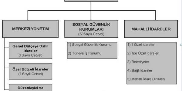 İhale Yöneticisi: nitelikler ve temel işlevler