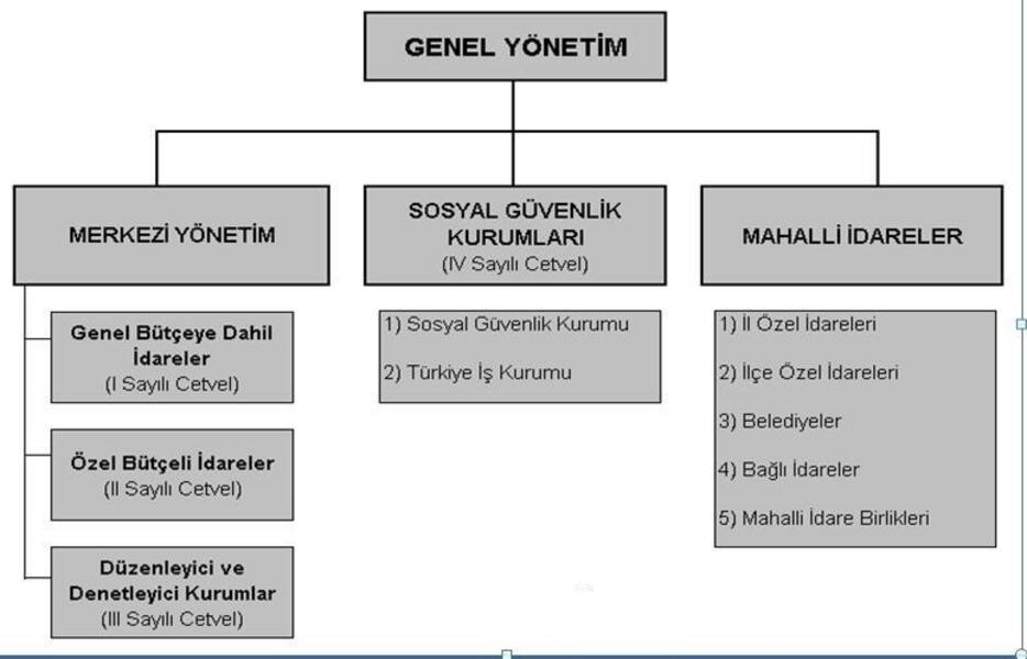 İhale Yöneticisi: nitelikler ve temel işlevler
