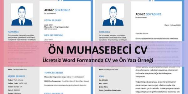 Bir CV için muhasebecinin sorumlulukları