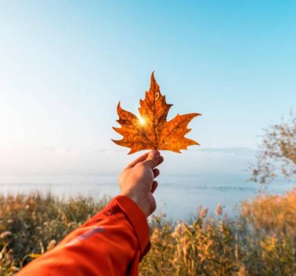 Sonbahar fotoğraf bölgelerinin çeşitliliği