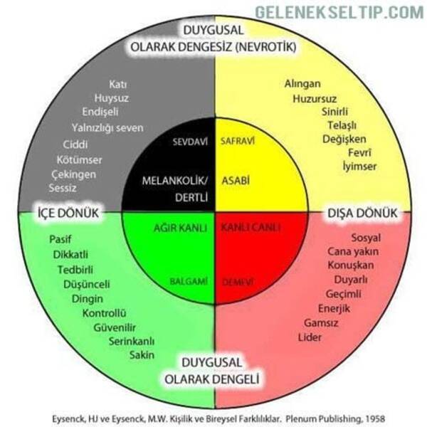 Mizaçlı kişi: kimdir ve nasıl tanımlanır?
