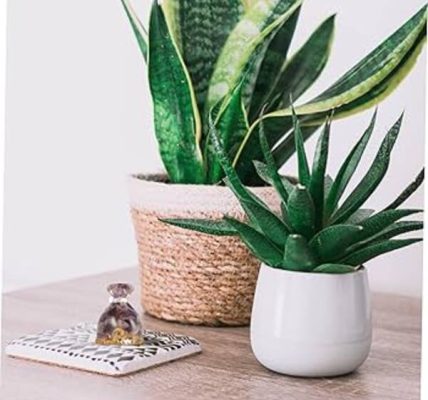 Feng shui'ye göre para çekmek için çanta