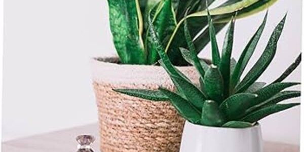 Feng shui'ye göre para çekmek için çanta