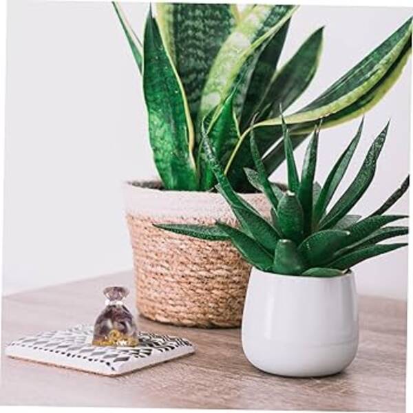 Feng shui'ye göre para çekmek için çanta