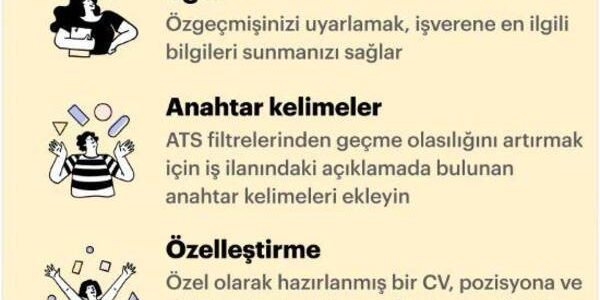 Bir grafik tasarımcının özgeçmişi: yapı ve yazım kuralları