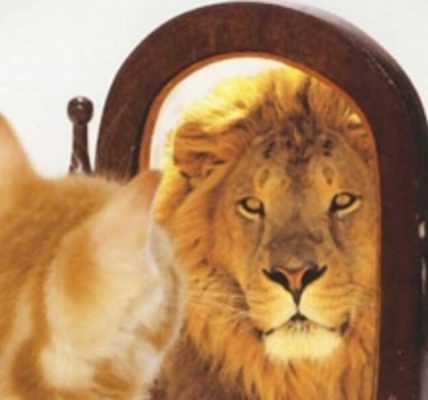 Kibir hakkında konuşun