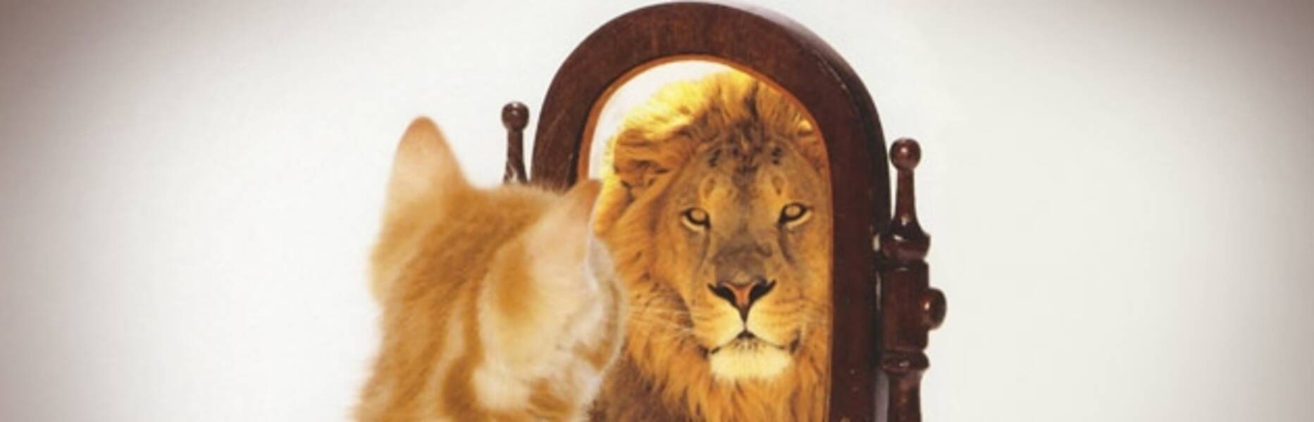 Kibir hakkında konuşun