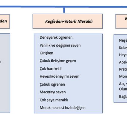 Mizaç tipine göre uyumluluk