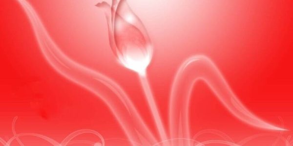 Şefkatin tezahürleri ve anlamı