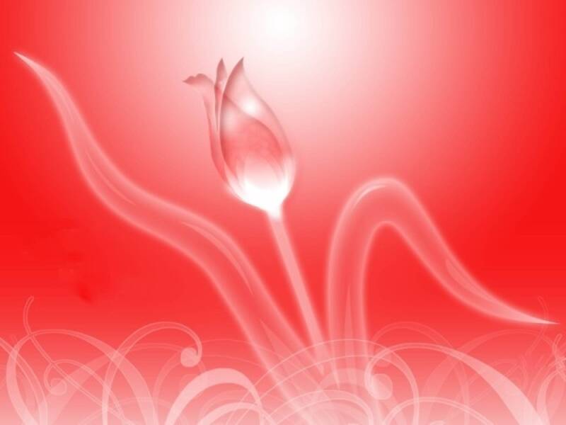 Şefkatin tezahürleri ve anlamı