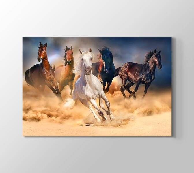 Koşan at çeşitleri ve özellikleri