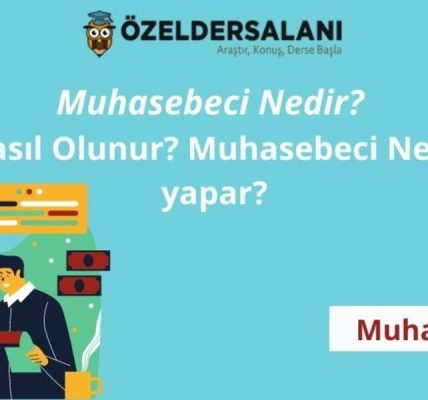 Muhasebeci kategorileri nelerdir?